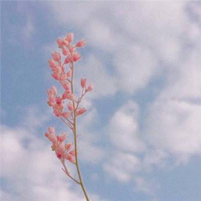 阮宁希