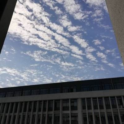 外交部：中方愿同国际社会加强协调配合，共同应对能源安全问题